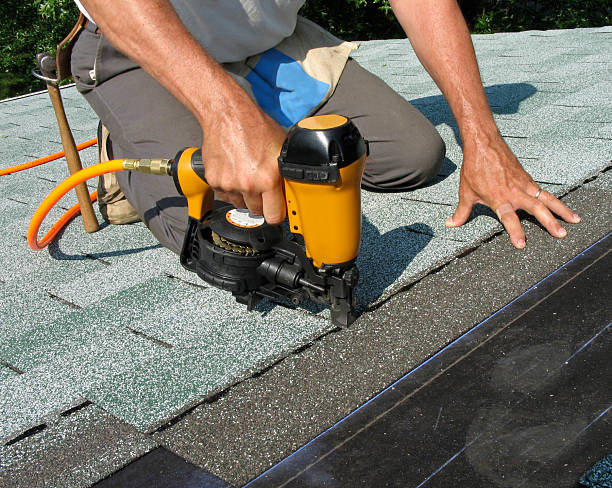 Best Roof Leak Repair  in Necedah, WI