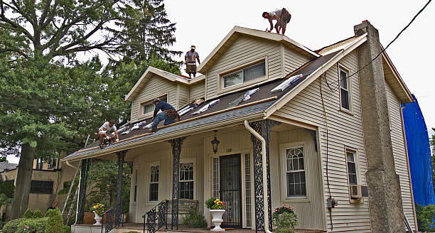 Best Roof Gutter Cleaning  in Necedah, WI