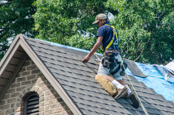 Best Roof Maintenance Services  in Necedah, WI